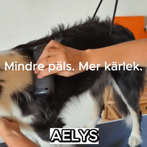 AELYS - Mirakelborste för pälsen